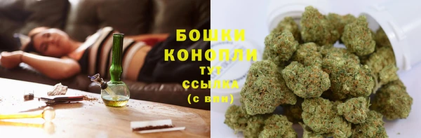 гашик Вязьма