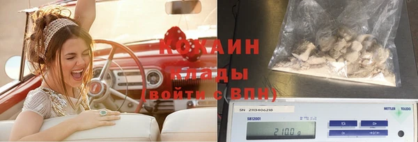 гашик Вязьма
