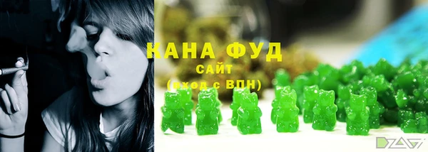 гашик Вязьма