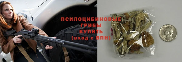 ГАЛЛЮЦИНОГЕННЫЕ ГРИБЫ Сатка