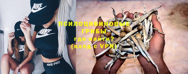 гашик Вязьма