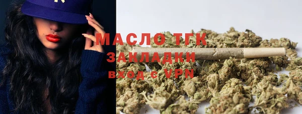 гашик Вязьма