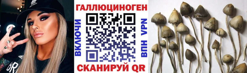 Псилоцибиновые грибы Cubensis  мега ТОР  Вихоревка 